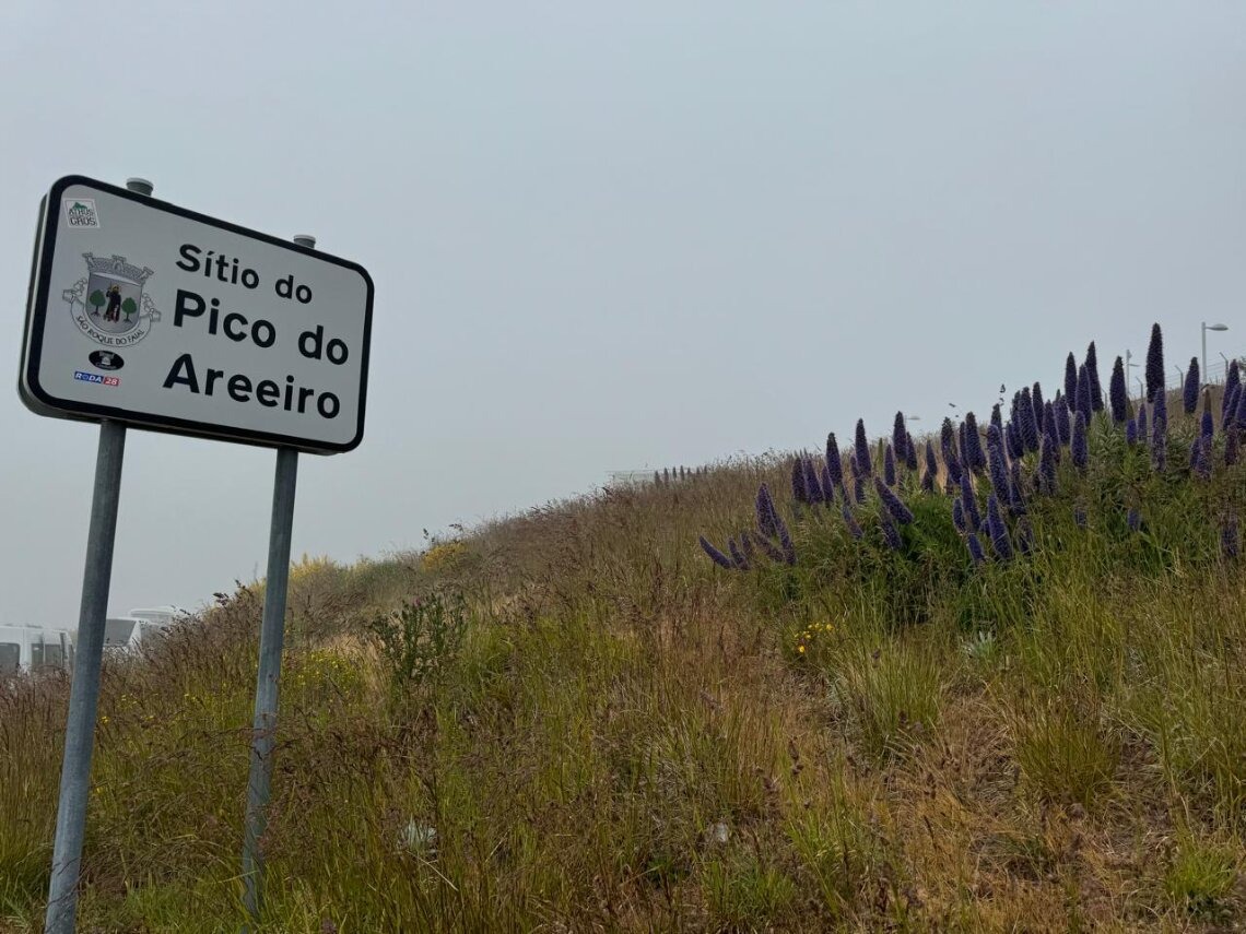 Imagem em destaque
