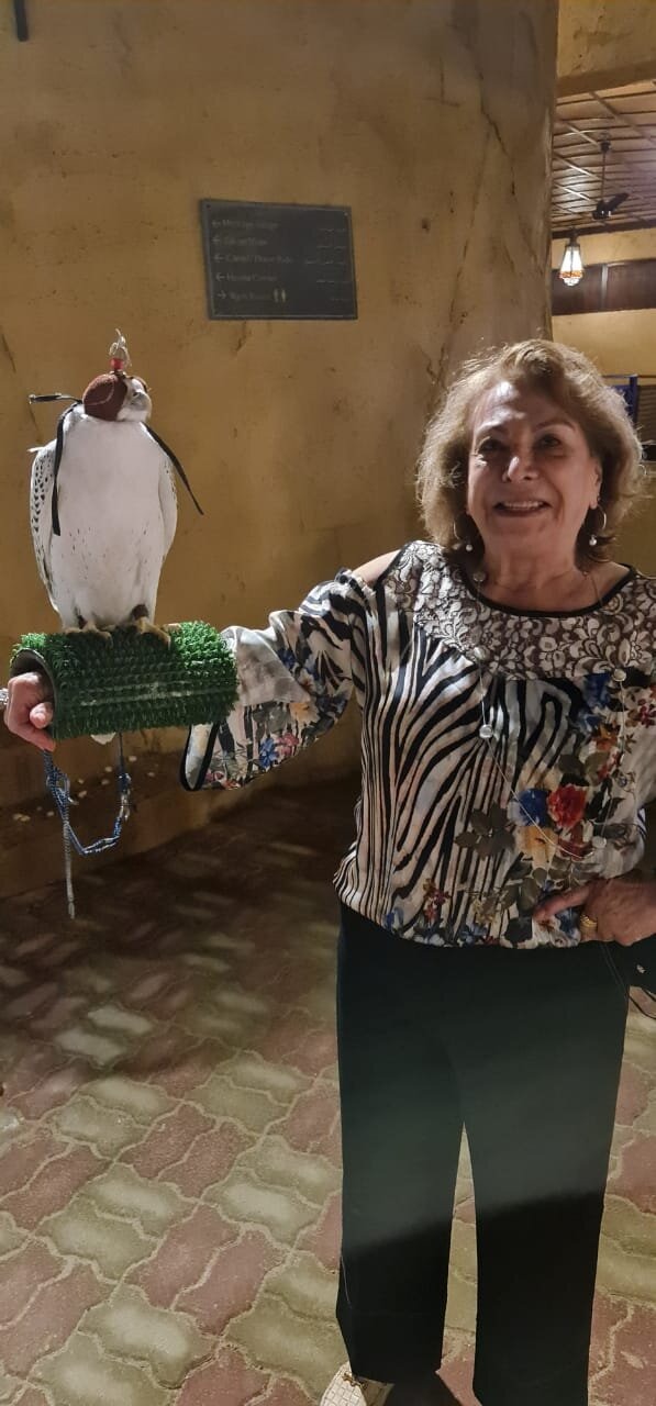 Imagem em destaque