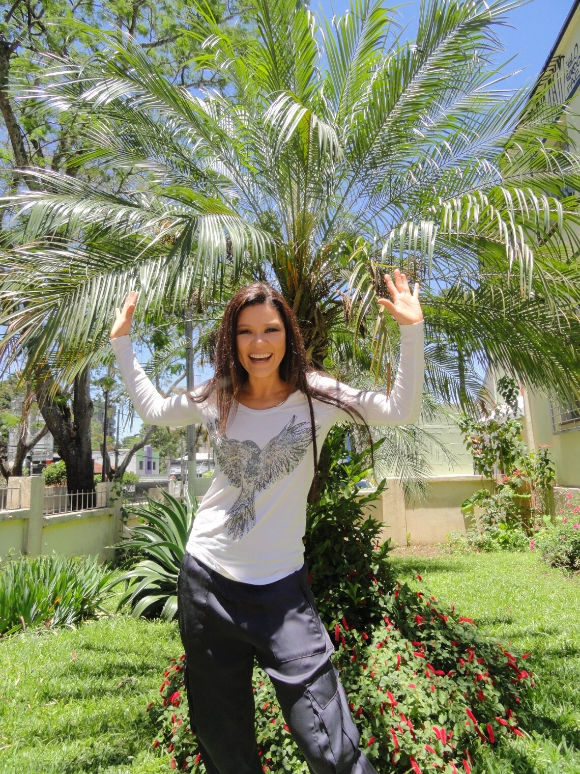 Imagem em destaque