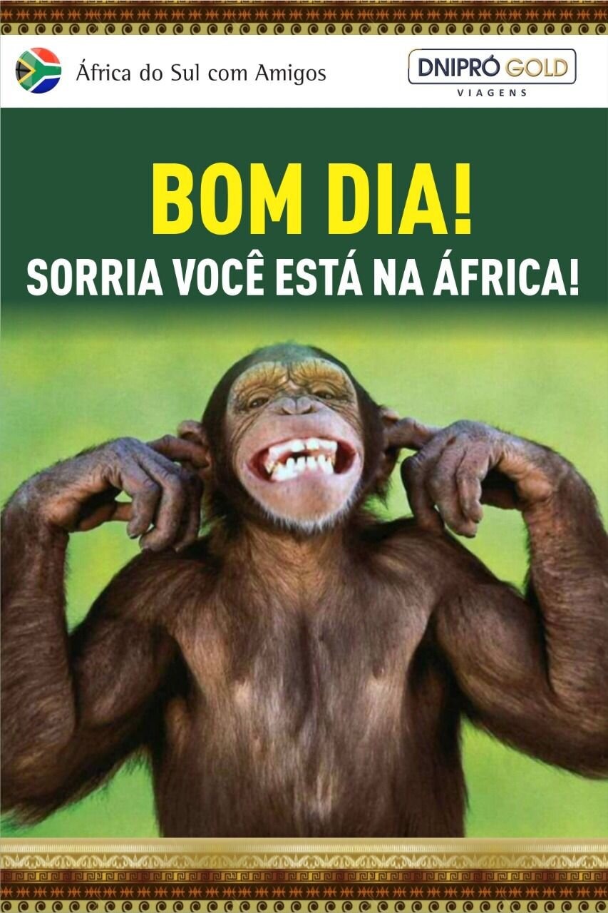 Imagem em destaque