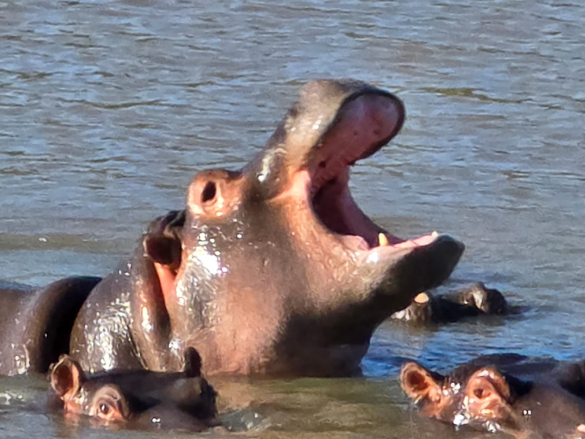 Imagem em destaque