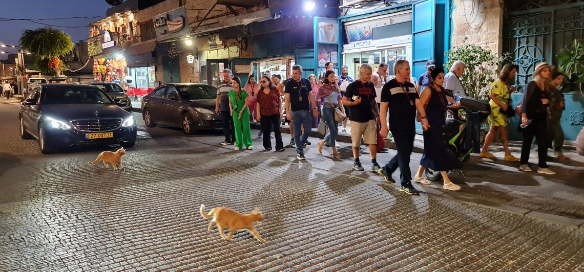 Imagem em destaque