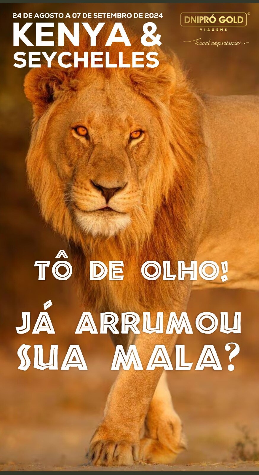 Imagem em destaque