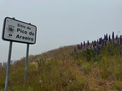 Imagem do projeto