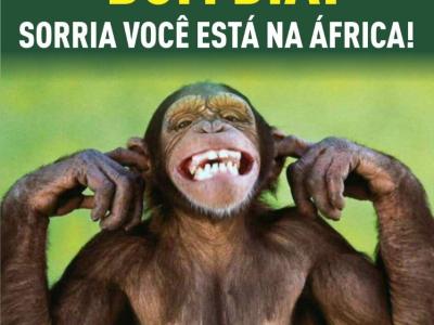Imagem do projeto