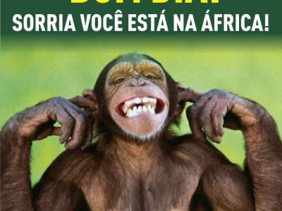 Imagem do projeto