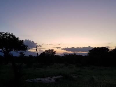 Imagem do projeto