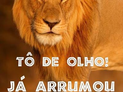 Imagem do projeto