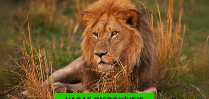 ÁFRICA DO SUL - SAFARIS, VINHOS E GASTRONOMIA - 2026