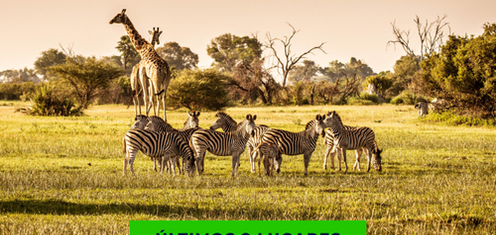 FÉRIAS NA ÁFRICA DO SUL 2026