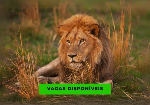 ÁFRICA DO SUL - SAFARIS, VINHOS E GASTRONOMIA - 2026