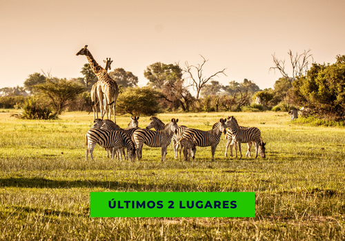 FÉRIAS NA ÁFRICA DO SUL 2026