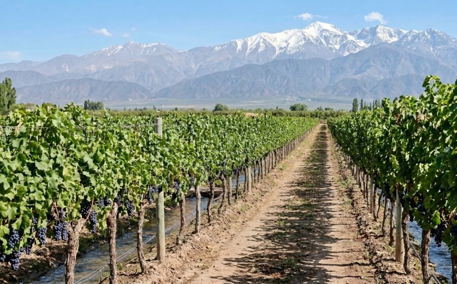 MENDOZA