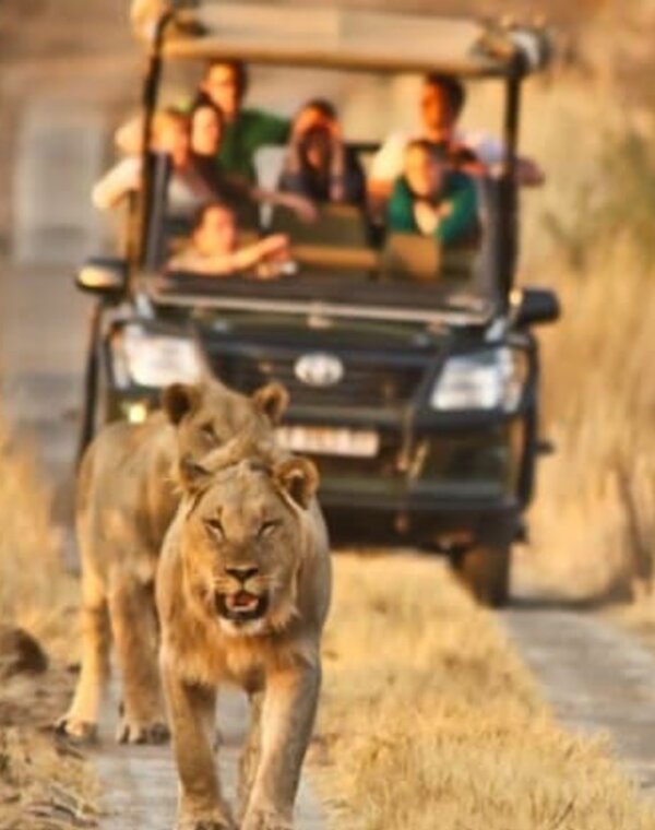 Férias na África do Sul - Janeiro