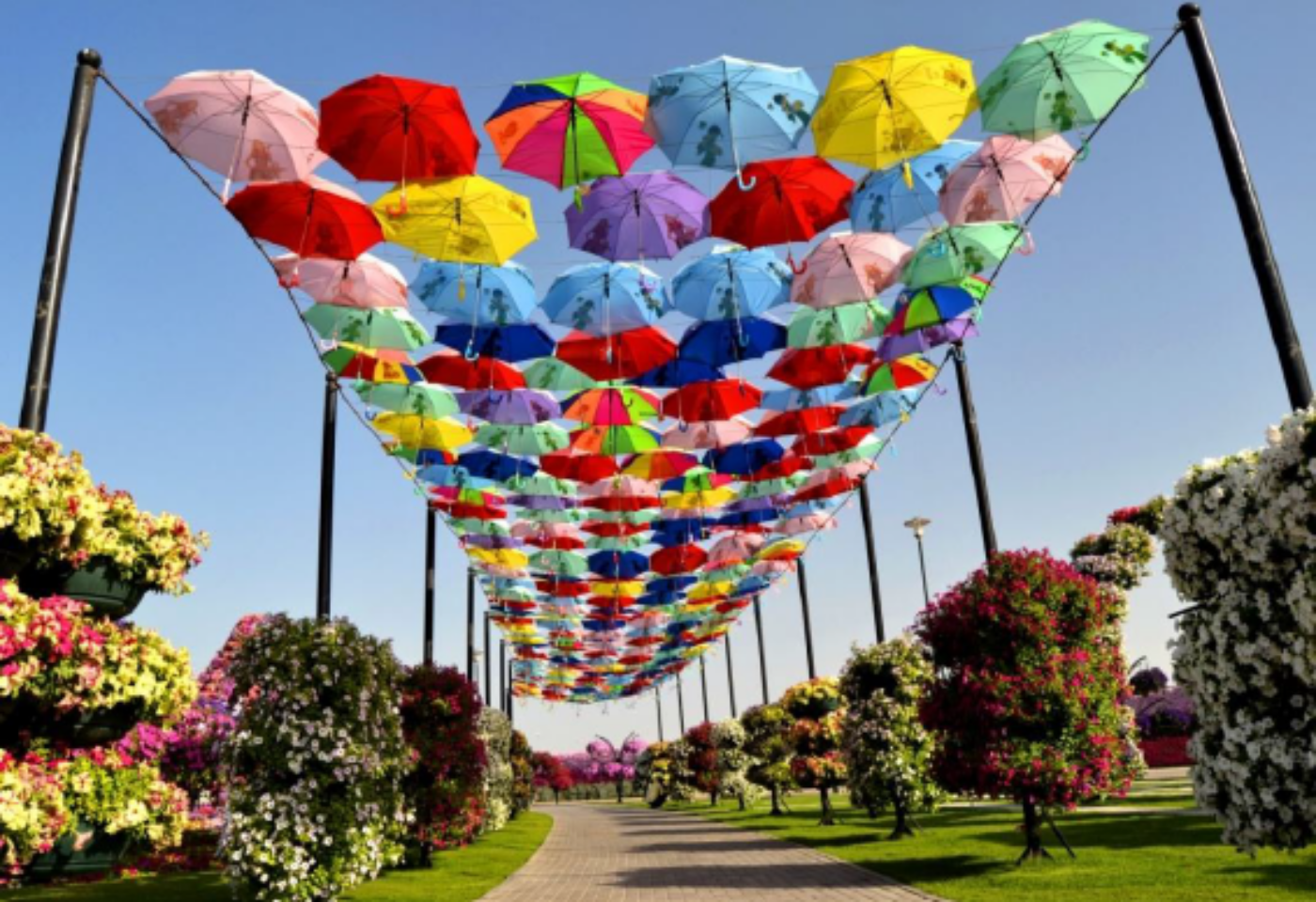 Imagem do roteiro