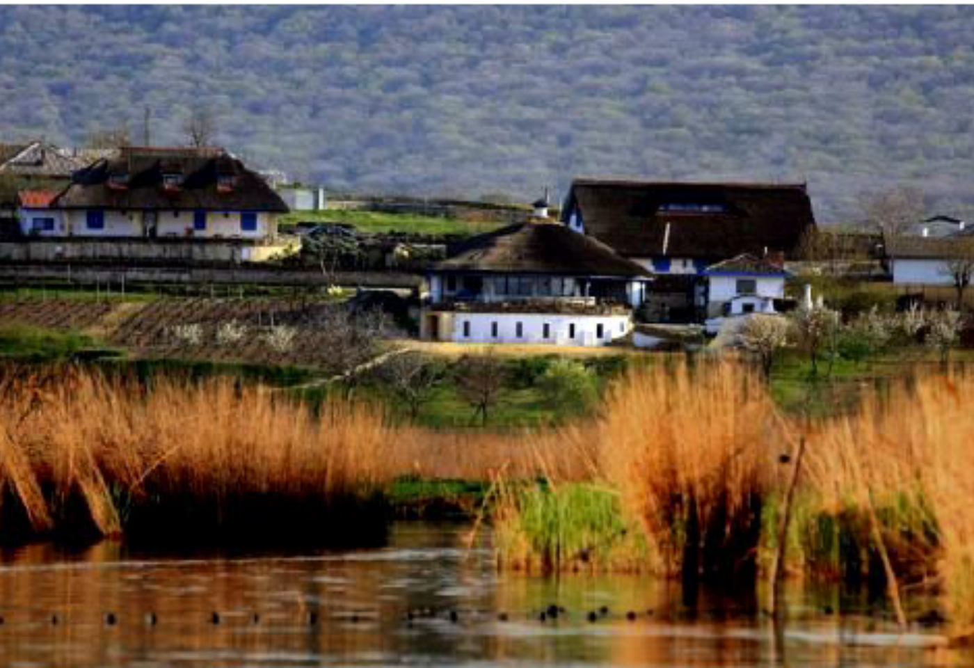 Imagem do roteiro